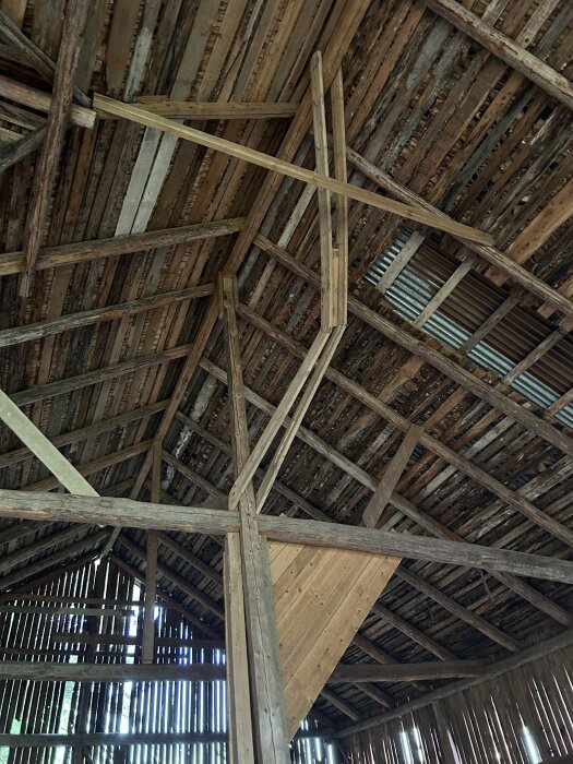 Interiör av gammal hölada med slitna takstockar och trasiga tvärslåar, ljus sipprar in mellan brädorna.