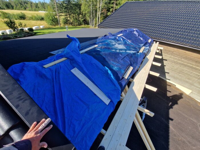 Blå presenningar täcker ett halvbyggt tak på en carport, synliga träbrädor och en hand med bandagerat finger i förgrunden.