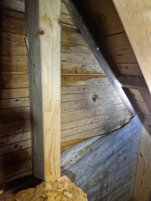 Blöt och fuktig insida av träfasad på vinden med synliga vattenfläckar, potentiell läcka ovanför balkongdörren.