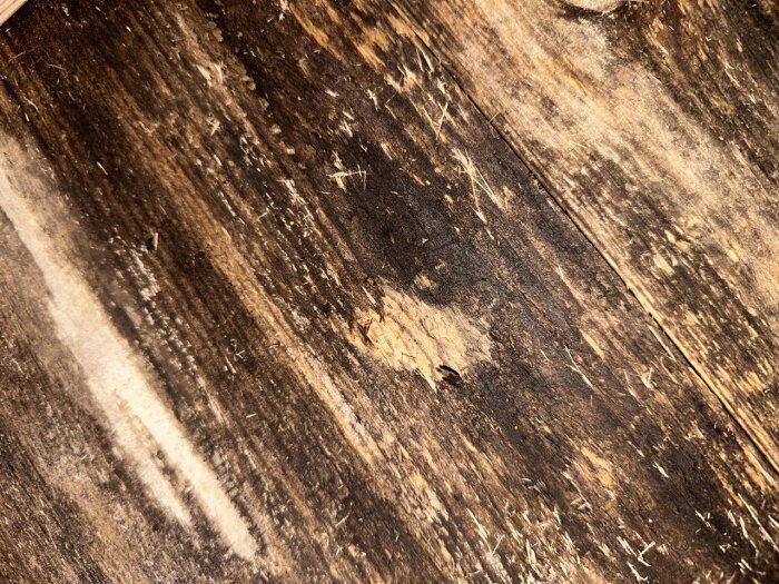 Grov yta på äldre innertak med skrapat område visar mörka fläckar och ljusare trä under, tecken på potentiell mögel eller fuktskada.