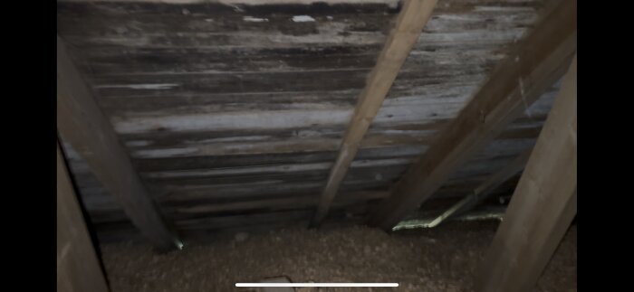 Träbjälkar och takpanel på en vind med tecken på fukt och mögel. Delar av träytan ser ut att ha skrapats bort. Tak från 1960-talet.