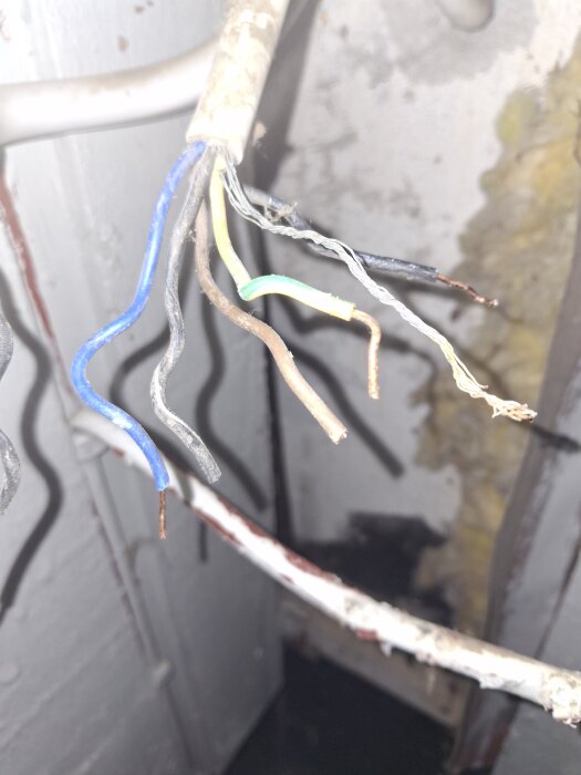 Gamla elkablar med olika färger synliga, inklusive gul/grön kabel och metalltråd. Bilden visar en grupp kablar i ett äldre hus.
