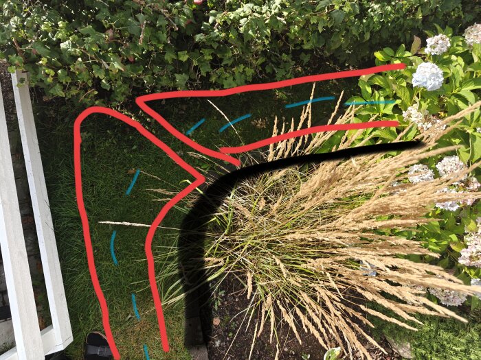 Bild av en gräsmatta med röda linjer som visar begränsningskablar och blå linjer för körsträcka. Växter och blommor i bakgrunden.