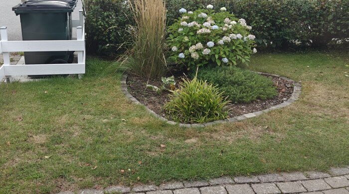 Grön soptunna bakom vitt staket intill rund rabatt med plantor och blommor. Gräsmatta med gångstig i förgrunden.