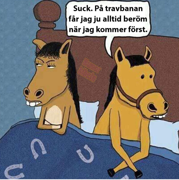 Två animerade hästar ligger i sängen, en ser missnöjd ut medan den andra pratar om travbanan.