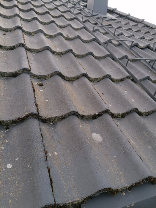 Tak med grå betongpannor, vissa har sprickor och behov av utbyte. Pannorna är bredare modellen och märkta med "Arabygg".