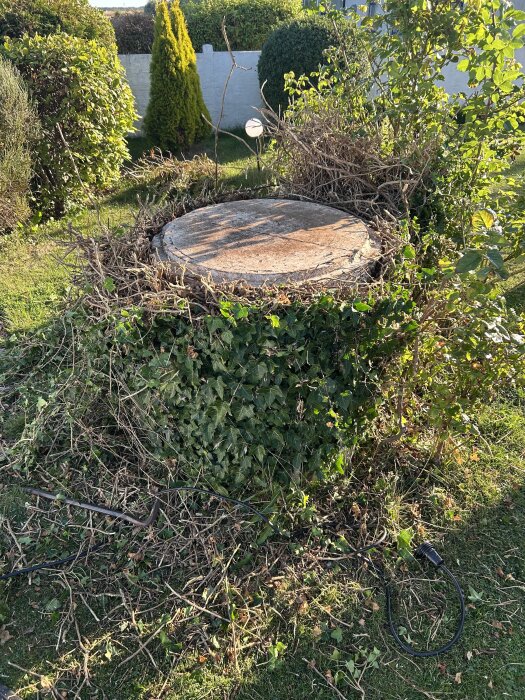 Cementbrunn i trädgård omgiven av buskar och grenar, utan synligt lock. En slang och elkontakt ligger bredvid på marken.