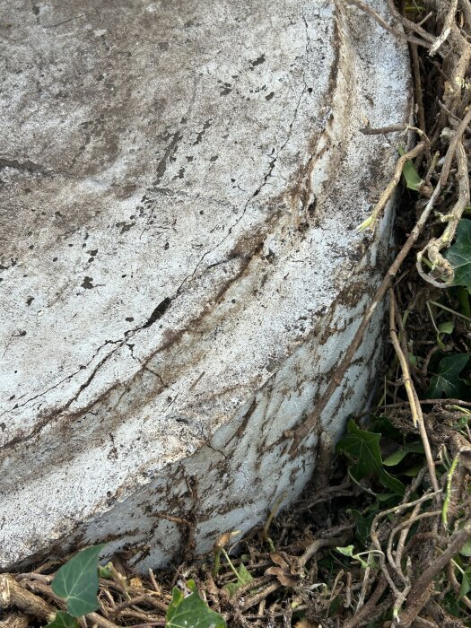 Betongstruktur omgiven av löv och kvistar, verkar som ett lock eller en täckt brunn som inte går att öppna.