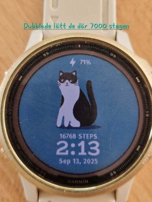 Smartklocka med en bild av en sittande katt på skärmen. Visar 16768 steg, 71% batteri, och klockan är 2:13 den 13 september 2025.