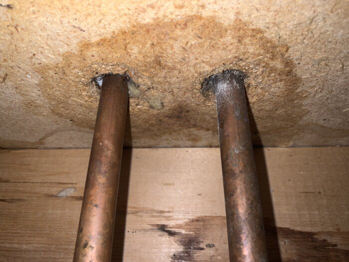 Rörgenomföringar genom fuktig spånskiva, sett underifrån, med mögelbildning runt rörens hål.