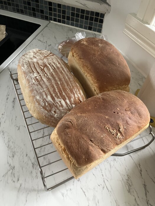 Tre nybakade bröd ligger på ett galler; två formbröd och en limpa från jäskorg.