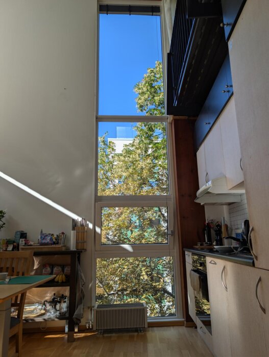 Höga fönster i köket med utsikt mot träd och blå himmel; synlig radiator på golvet framför fönstret och köksinredning till höger.