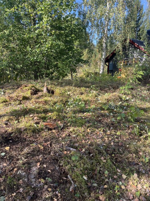 Gruvschakt med buskage och mossa, mindre och större stenar på marken, träd runt området och ett hus med rött tak syns i bakgrunden.