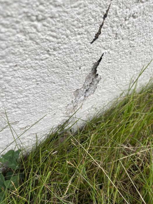 Sprucken vit fasad på en knuttimrad stuga från 1945 med synliga skador ovanför gräsliknande vegetation, delvis stående på berg.