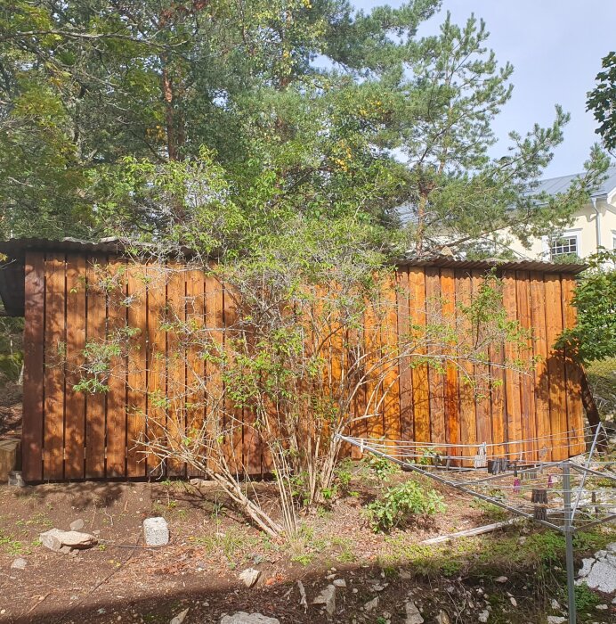 Träbyggnad med brädor i olika nyanser, omgiven av träd och buskar. En klädställning syns framför byggnaden.