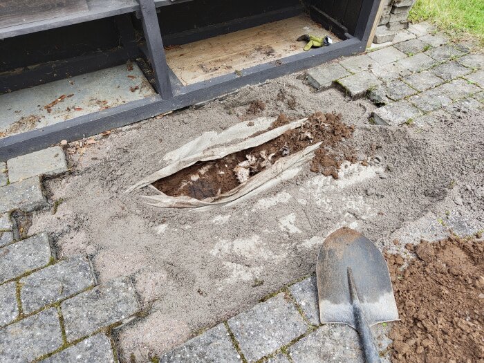 Grävd yta med exponerade stenplattor och jord, en spade ligger på marken och ett vitt, trådigt material syns i den öppnade marken.
