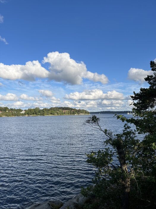 Sjön med träd i förgrunden, klarblå himmel och vita moln i bakgrunden.