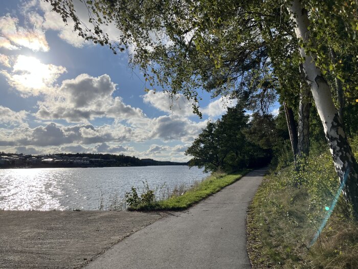 Gångväg längs en sjö med solnedgång, täckt av moln, och trädens skugga faller över stigen.