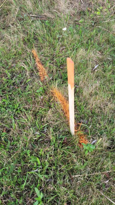 Orange markering och trästolpe i gräs markerar plats för fiber- och elkablar.