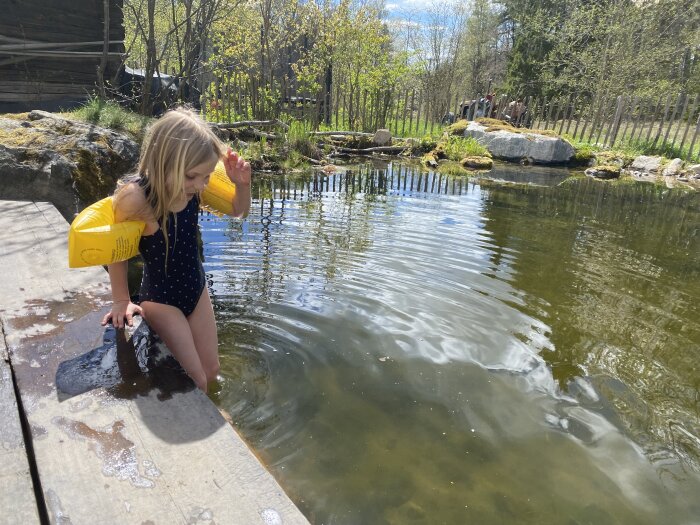 En flicka i baddräkt med gula armringar sitter vid kanten av en damm, omgiven av ett 100 cm högt kastanjestaket som smälter in i naturen.