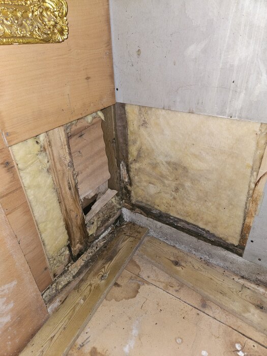 Fuktskadat hörn med synlig isolering och rötskador på trä i en utbyggnad. Mögel kan potentiellt finnas närvarande.