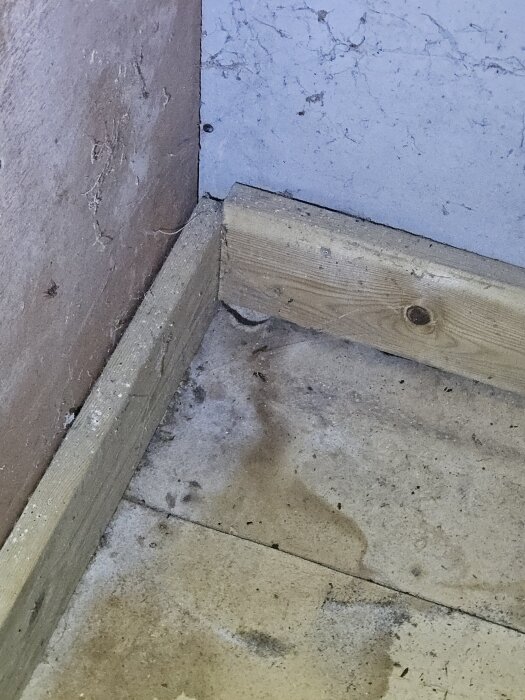 Fuktskador och mögelfläckar i hörn av vägg och golv i gammal utbyggnad.