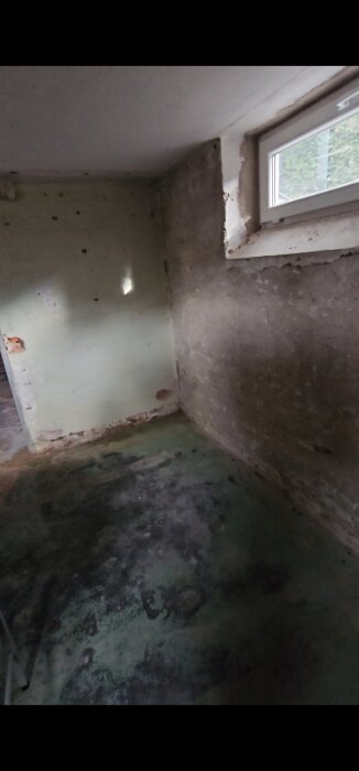 Källarutrymme med omålade väggar och fönster, delvis fuktiga golv och sliten yta. Betonggolv mörkfärgade av fukt och slitage.
