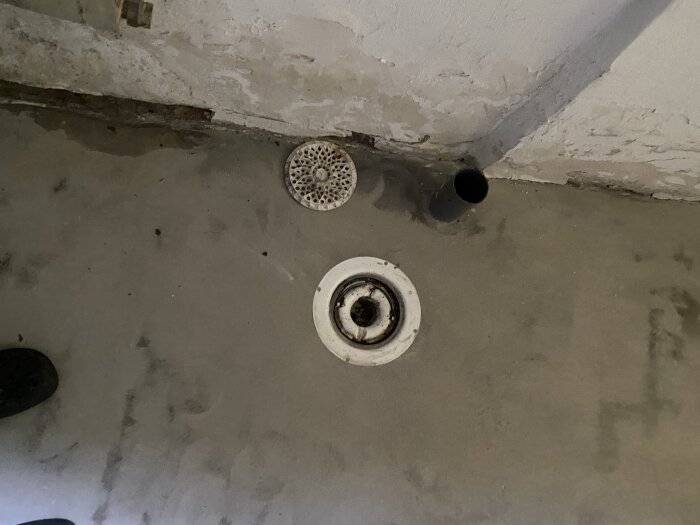 Avloppsrör och golvbrunn i ett källarrum med slitet betonggolv och intilliggande vägg.