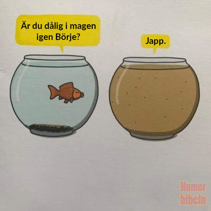 Tecknad bild av två guldfiskar i varsitt akvarium. Den vänstra frågar om den andra är dålig i magen, den högra svarar "Japp.