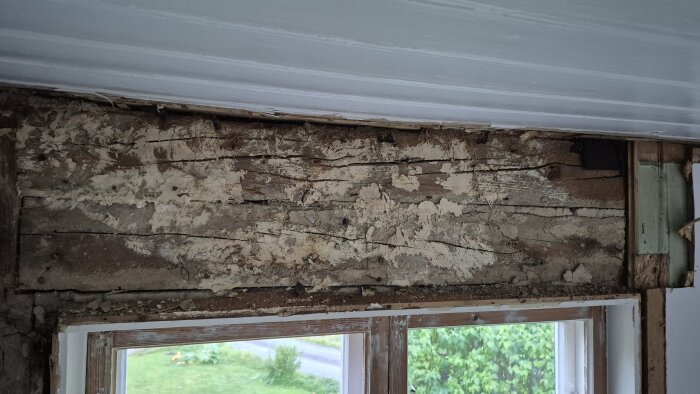 Rötskada på överliggare ovanför ett fönster i ett gammalt hus, med synliga sprickor och mögelliknande fläckar på träet.