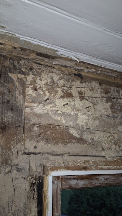 Rötskada i överliggare ovanför fönstret i ett gammalt trähus från 1929 med synliga tecken på tidigare fuktproblem.