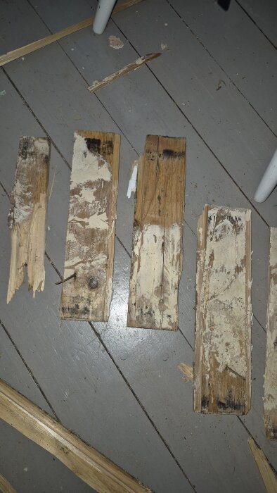 Ruttna träbitar med tecken på skada och mögel ligger på ett golv, del av renoveringsarbete i ett gammalt trähus.