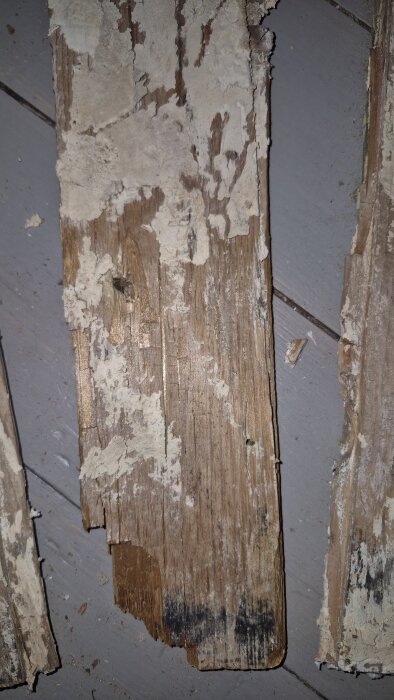 Träskiva med vita och svarta märken, potentiella tecken på rötskada i gammalt hus från 1929, som inspekterats för hussvamp.