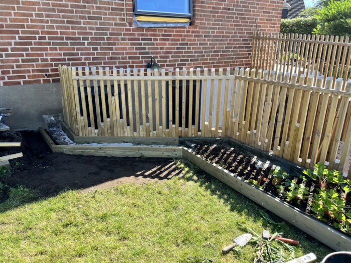 Trästaket runt ny källartrappa och planterade växter i en rabatt på gräsmatta framför tegelvägg.