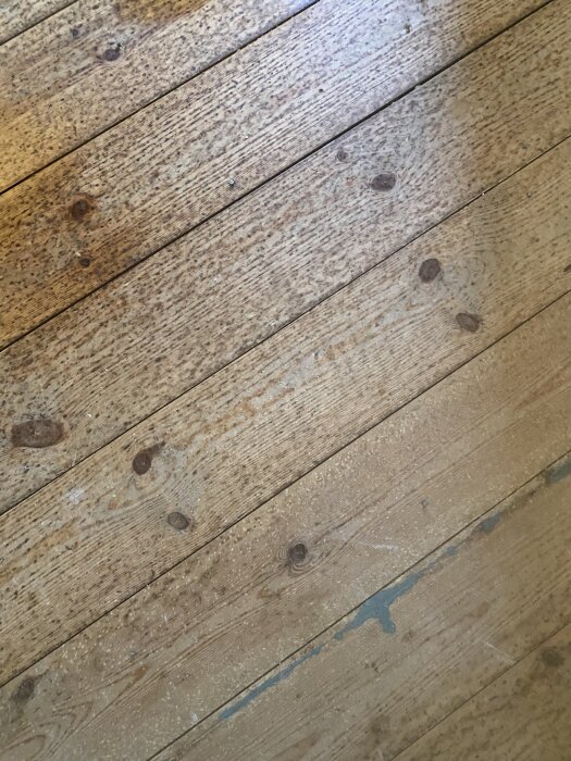 Trägolv från 1930-tal med små mörka prickar liknande mögel.