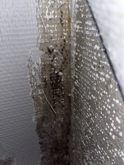 Vägg med spricka och mörk fläck, potentiellt tidigt mögelangrepp.