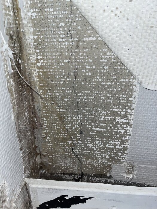 Spricka i väggen med vitfläckig yta som kan tyda på mögelangrepp, potentiellt kring en fuktskadad del av väggen.