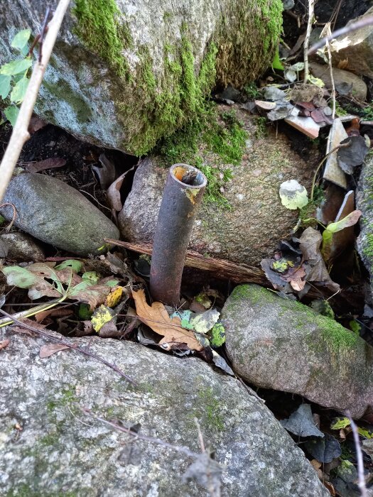 En gränsrör sticker upp ur marken bland blad och stenar med mossa.