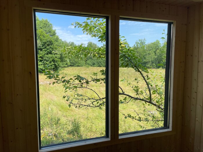 Fönsterutsikt mot träd och grönska från ett rum med träpanel.