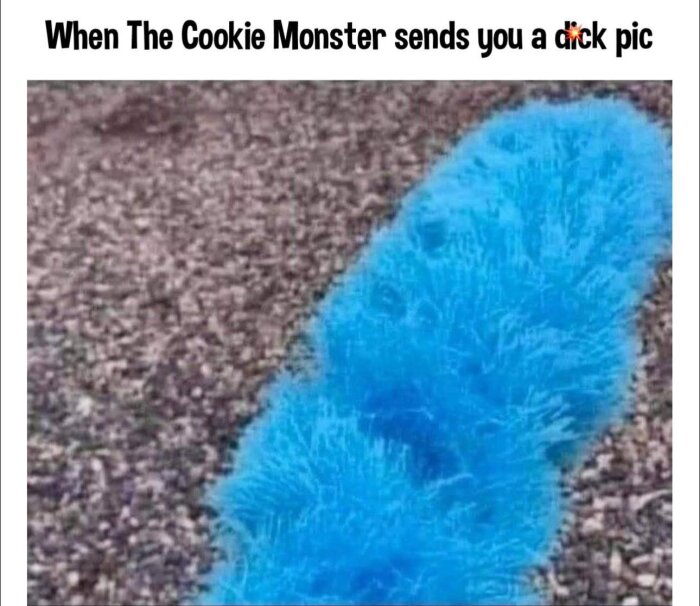 Blå duster på marken bredvid texten.