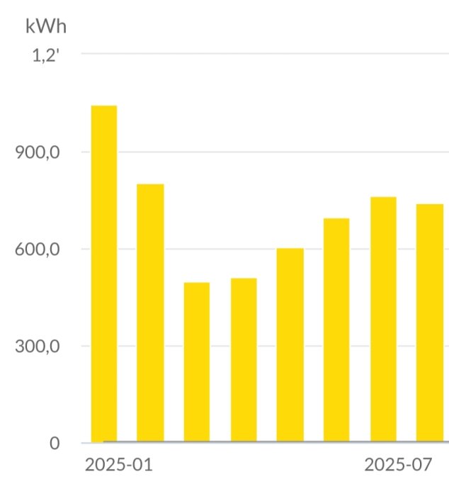 Diagram som visar elförbrukning per månad under 2025 med hög förbrukning i januari och lägre under våren, sedan ökar igen under sommaren.