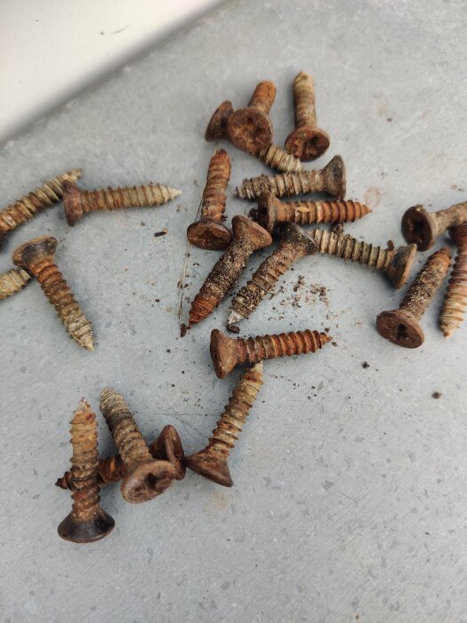 Rostiga skruvar med slitet gängmönster och flat försänkt skalle ligger spridda på en grå yta.