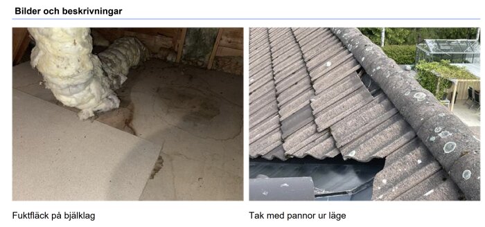 Bild på fuktfläck på bjälklag med isolering, samt tak med takpannor som är ur läge och visar nocken på ett sadeltak.