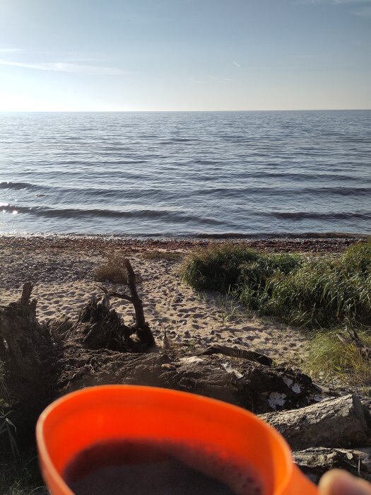Utsikt över havet från en sandig strand, med en orange mugg i förgrunden och grönska längs strandkanten.