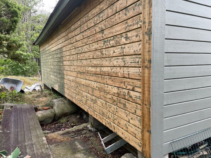 Renstrippad träfasad med mögelfläckar innan ommålning på fritidshus i skuggig miljö, sida vetter mot syd-öst.