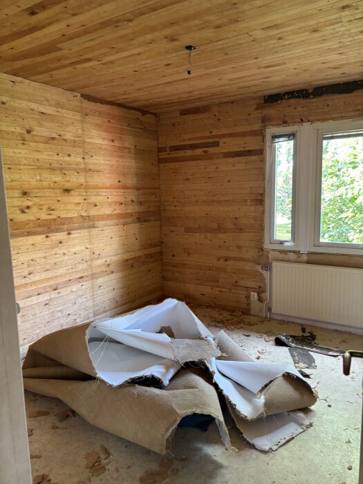 Ett rum med råspont på väggar och tak, trasig spännduk på golvet framför ett fönster och element.