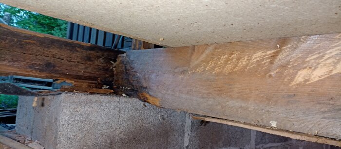 Spricka i lecablock under träregel i krypgrund avbildad.