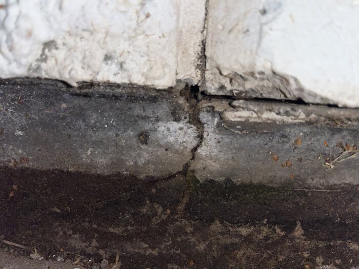 Spricka med litet hål i en betongvägg vid marknivå, visar potentiellt byggproblem för diskussion om reparation.