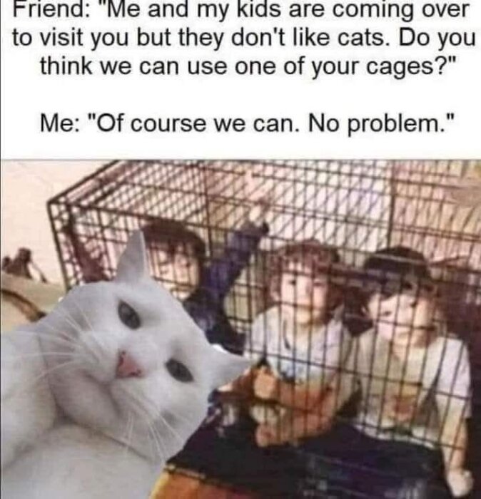 En vit katt ser självsäker ut framför en bur med tre barn inuti och en leksak. Text på bilden handlar om att låna en bur för barn som inte gillar katter.