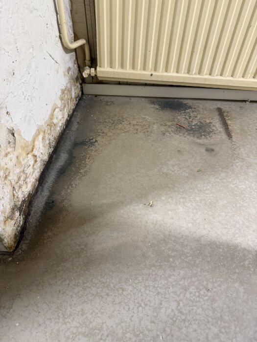 Golvyta i källare med blå och gröna fläckar nära en vitmålad vägg och ett beige element i hörnet.